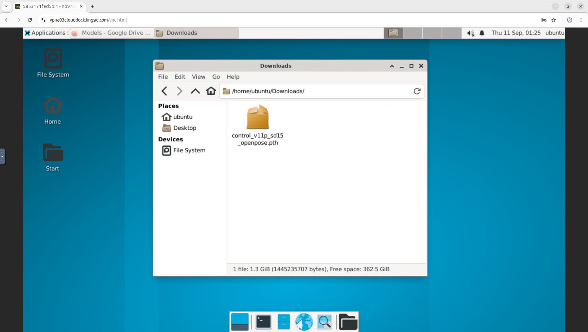 Browser downloads panel