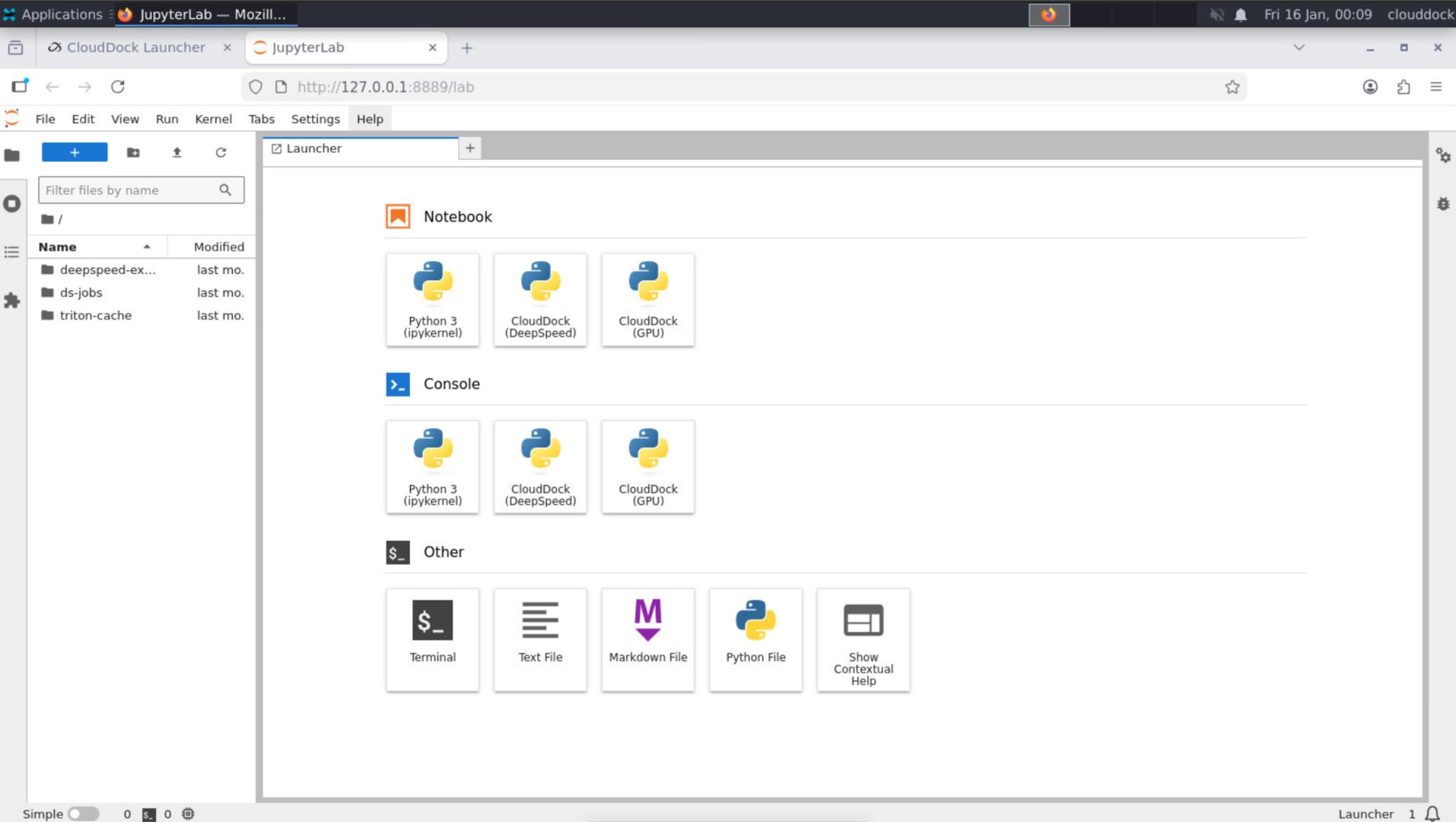 CloudDock DeepSpeed Jupyter preview