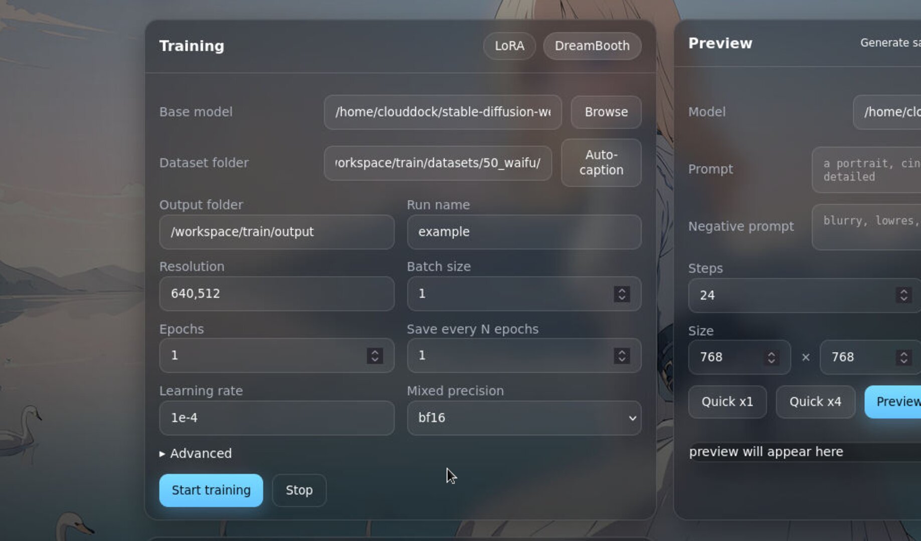 Preset parameters for full-body DreamBooth