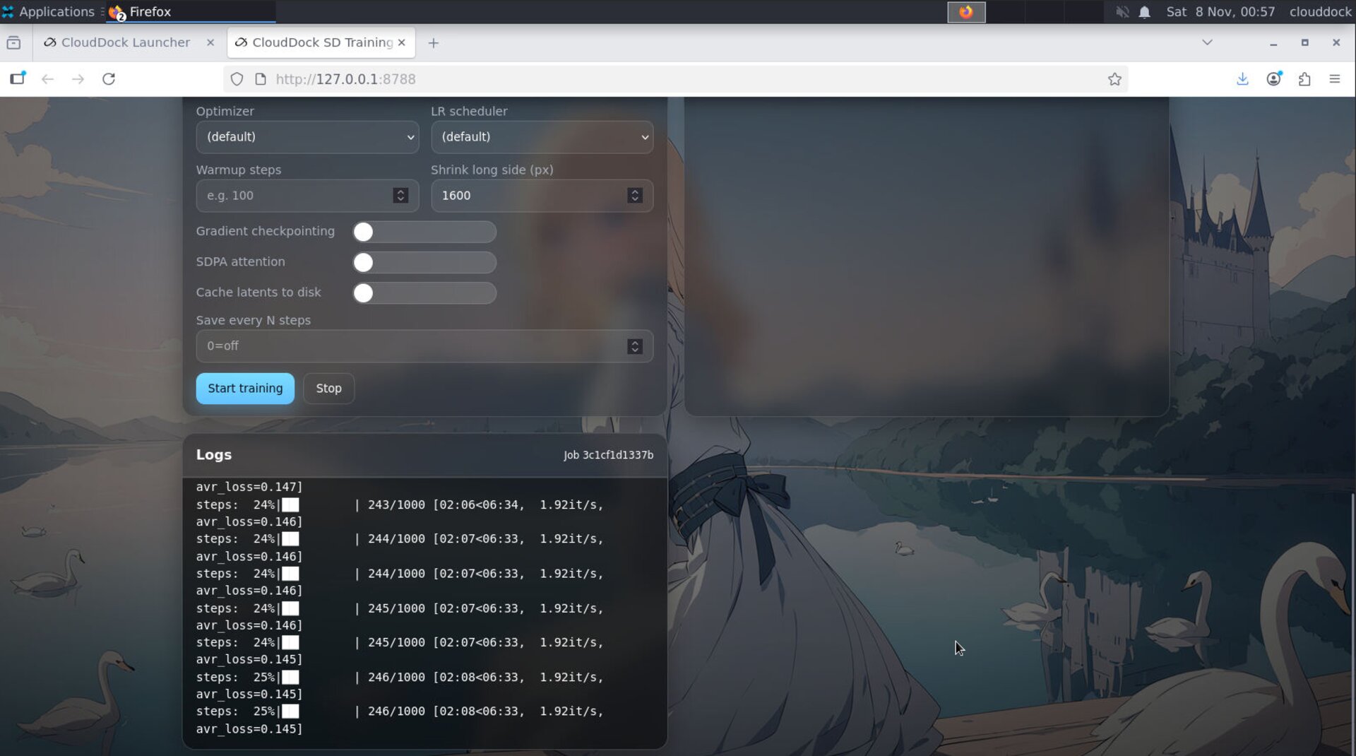 Training progress and logs