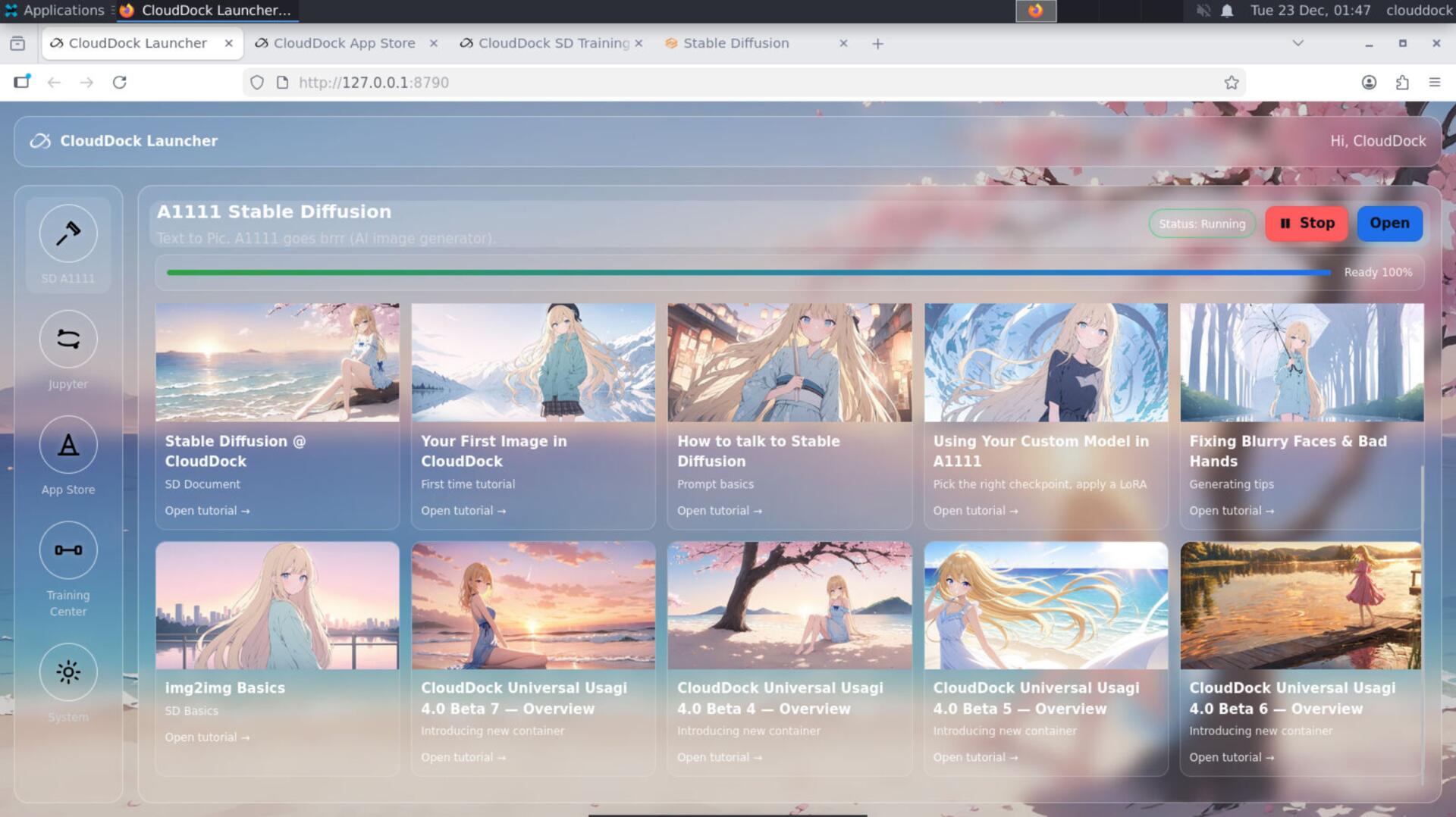 Usagi getting started steps inside the launcher
